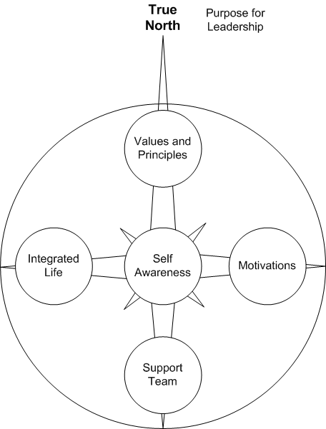 OTANTİK LİDERLİK by Gülsu Naiboğlu - Illustrated by GÜLSU NAİBOĞLU - Ourboox.com