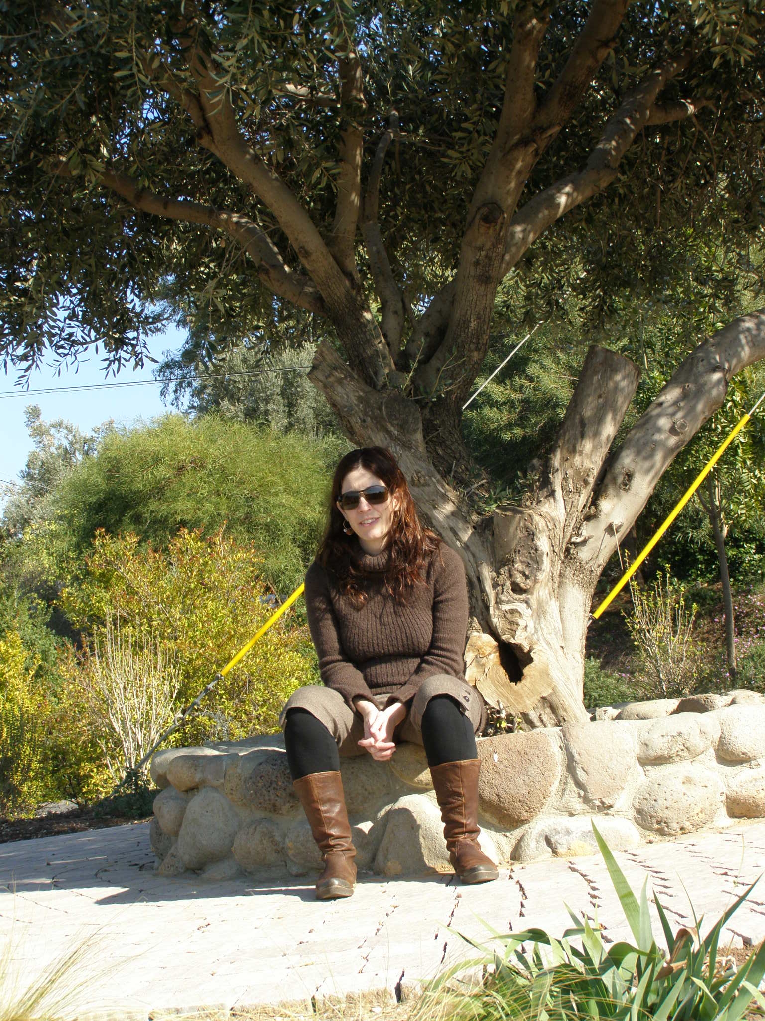 הריון ראשון