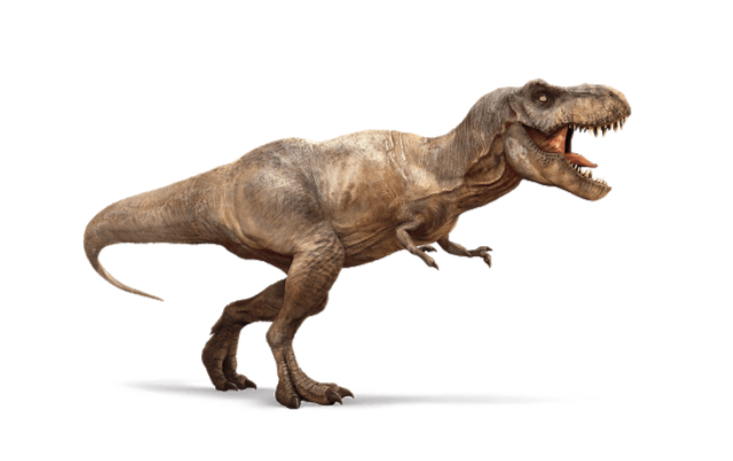 I dinosauri by Paola Gertosio - Illustrated by Alunni della classe 3^ di S.Croce - Ourboox.com