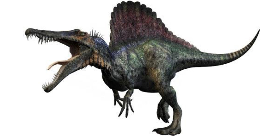 I dinosauri by Paola Gertosio - Illustrated by Alunni della classe 3^ di S.Croce - Ourboox.com