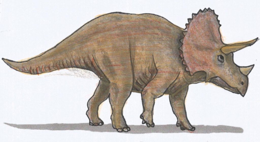 I dinosauri by Paola Gertosio - Illustrated by Alunni della classe 3^ di S.Croce - Ourboox.com