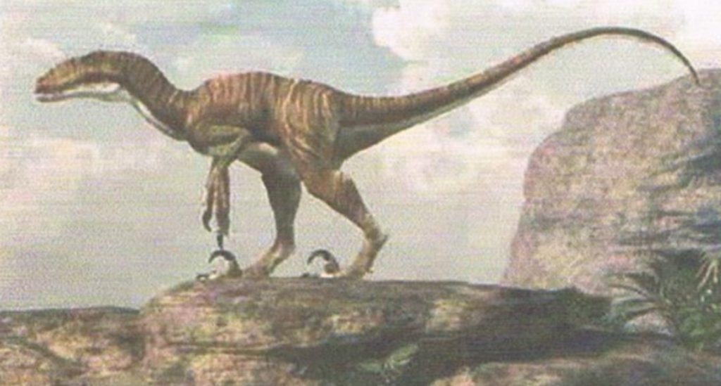 I dinosauri by Paola Gertosio - Illustrated by Alunni della classe 3^ di S.Croce - Ourboox.com