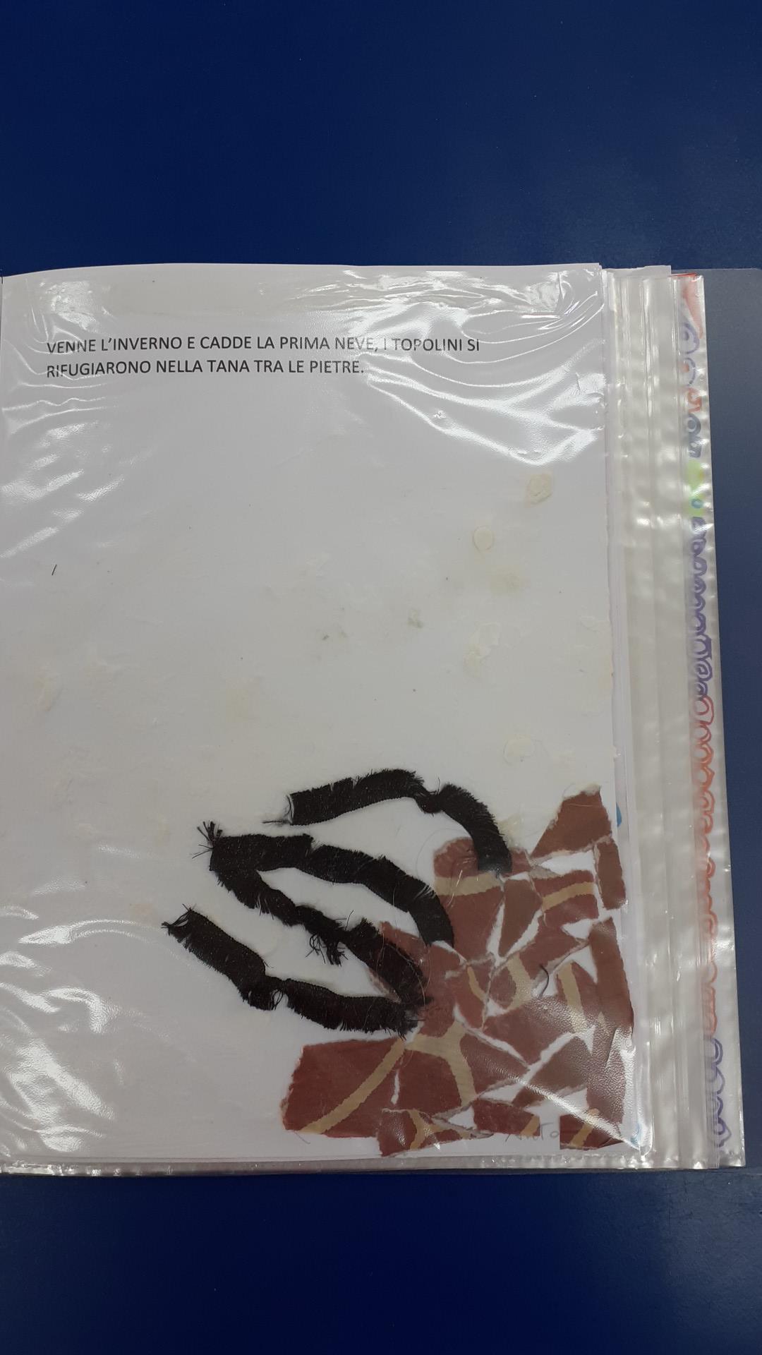 FEDERICO by GRAZIELLA PITTALIS - Ourboox.com