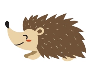 Alla scoperta dell’autunno by Roberta - Illustrated by Roberta e Vanessa - Ourboox.com