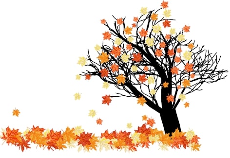 Alla scoperta dell’autunno by Roberta - Illustrated by Roberta e Vanessa - Ourboox.com