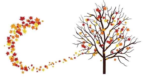 Alla scoperta dell’autunno by Roberta - Illustrated by Roberta e Vanessa - Ourboox.com