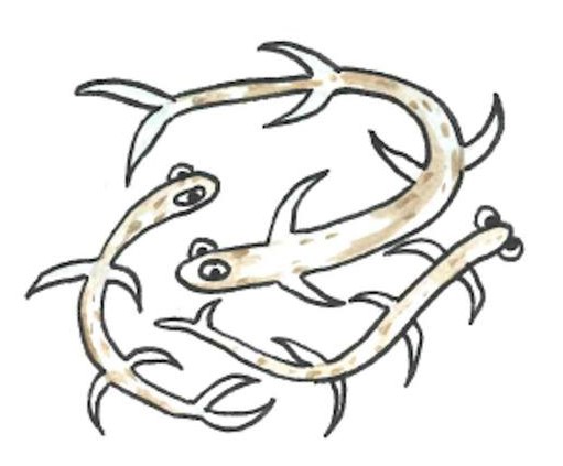 Solo un sorso Ranocchio by Assunta Pommella - Ourboox.com