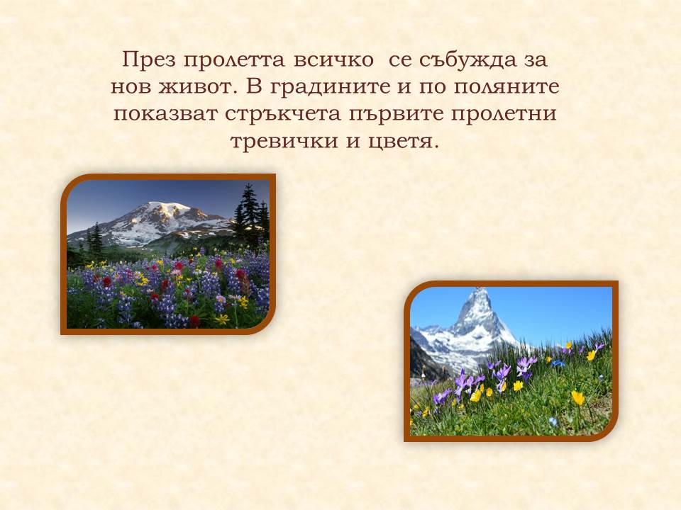 Животът през пролетта by Galina Angelova Asenova - Ourboox.com