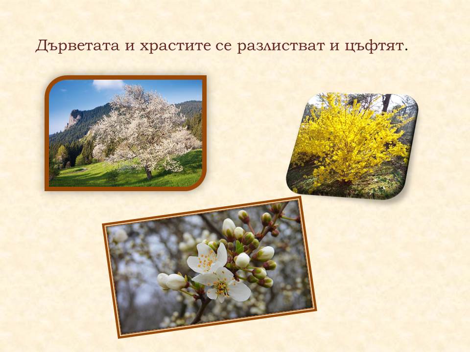 Животът през пролетта by Galina Angelova Asenova - Ourboox.com