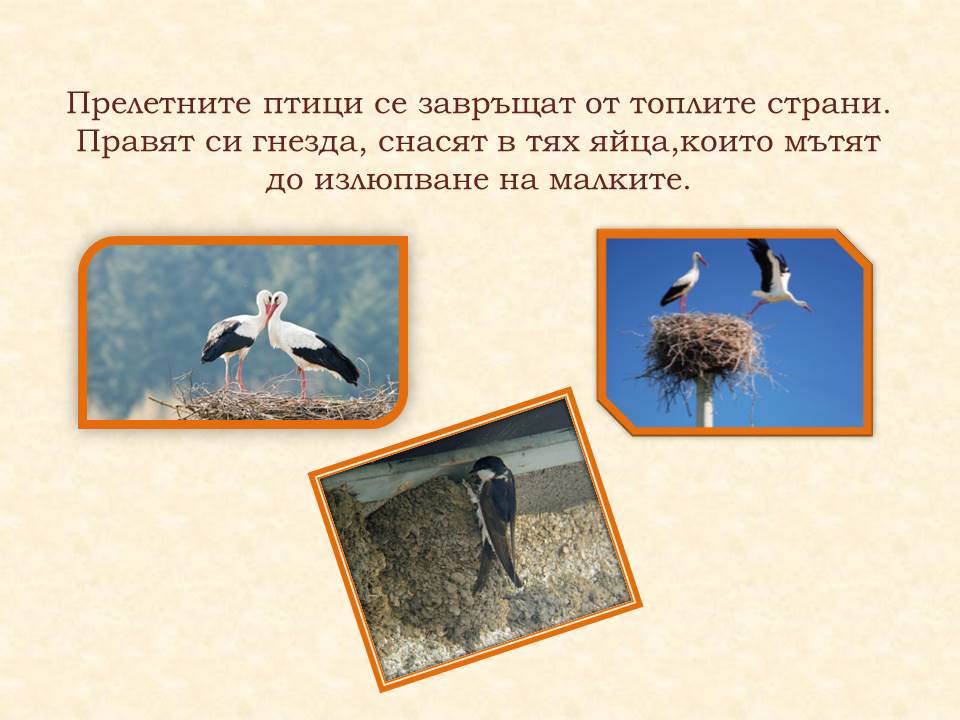 Животът през пролетта by Galina Angelova Asenova - Ourboox.com