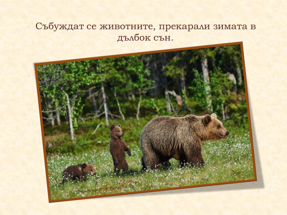 Животът през пролетта by Galina Angelova Asenova - Ourboox.com