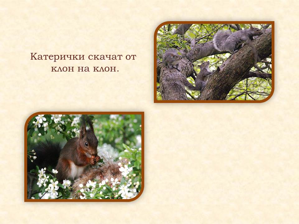 Животът през пролетта by Galina Angelova Asenova - Ourboox.com