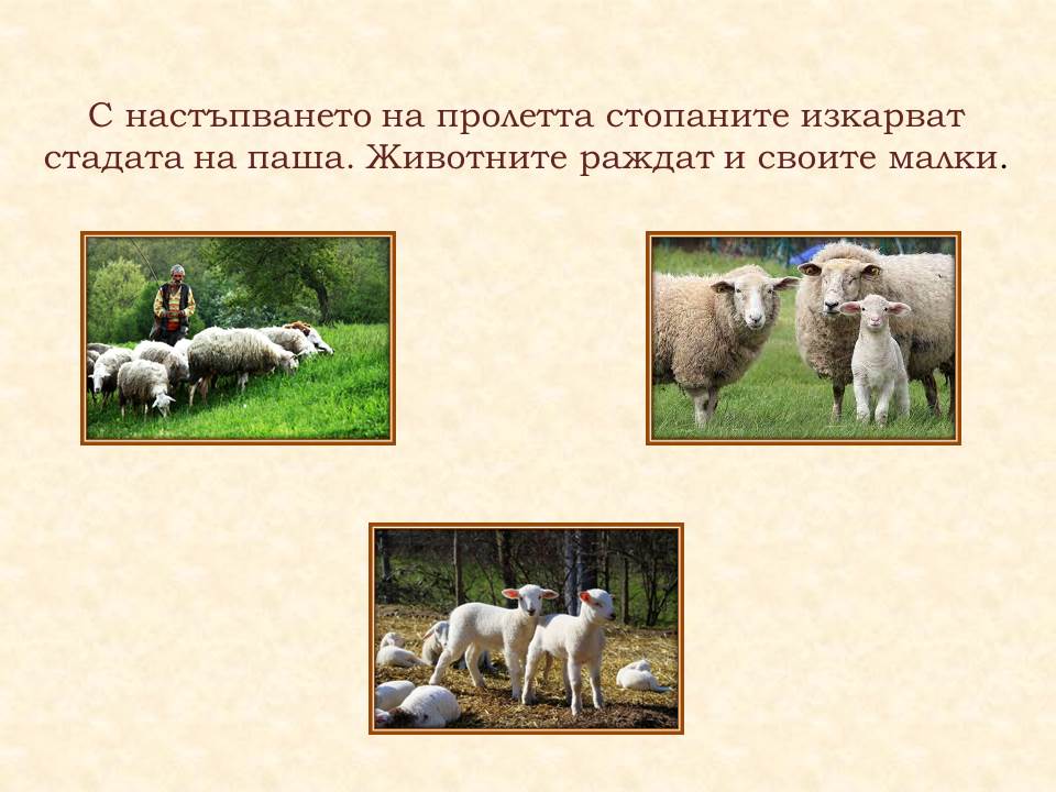 Животът през пролетта by Galina Angelova Asenova - Ourboox.com