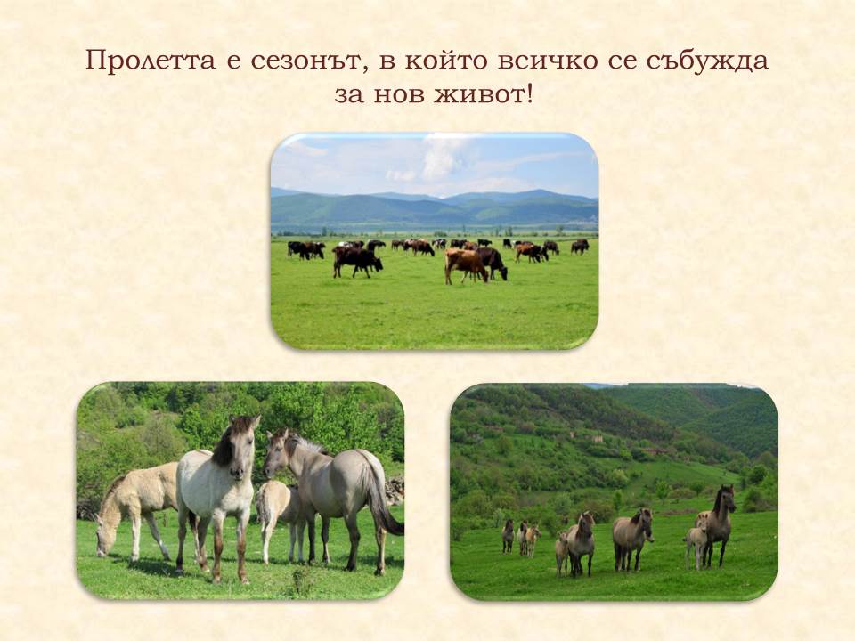 Животът през пролетта by Galina Angelova Asenova - Ourboox.com