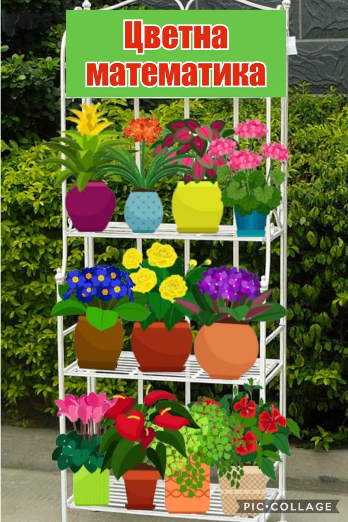 Цветна математика by Dimitrina Dimitrowa - Ourboox.com