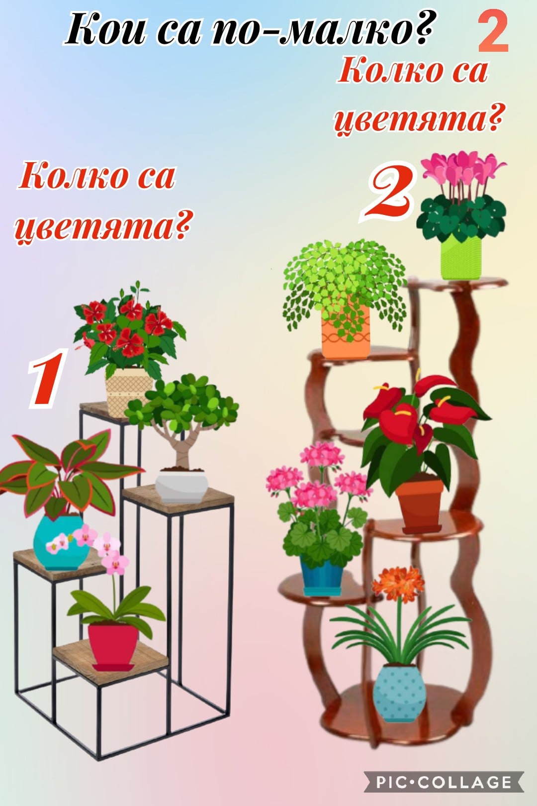 Цветна математика by Dimitrina Dimitrowa - Ourboox.com