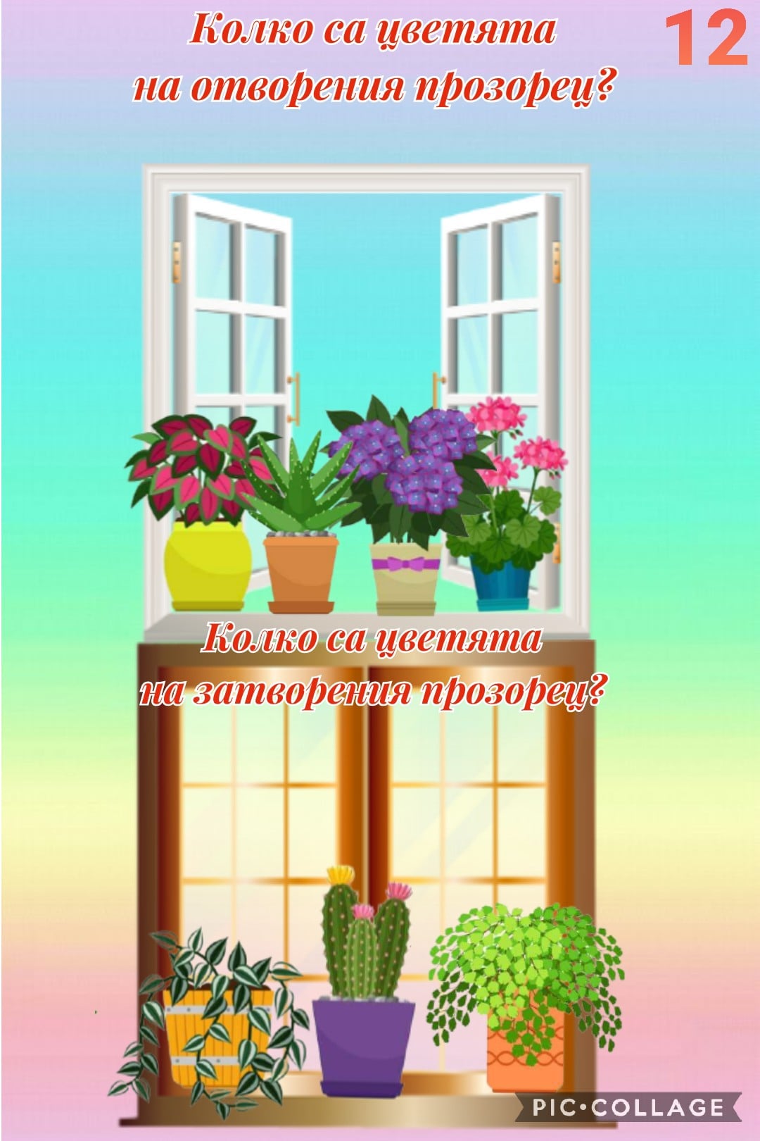 Цветна математика by Dimitrina Dimitrowa - Ourboox.com