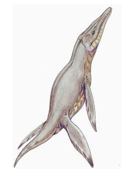 I dinosauri by Paola Gertosio - Illustrated by Alunni della classe 3^ di S.Croce - Ourboox.com