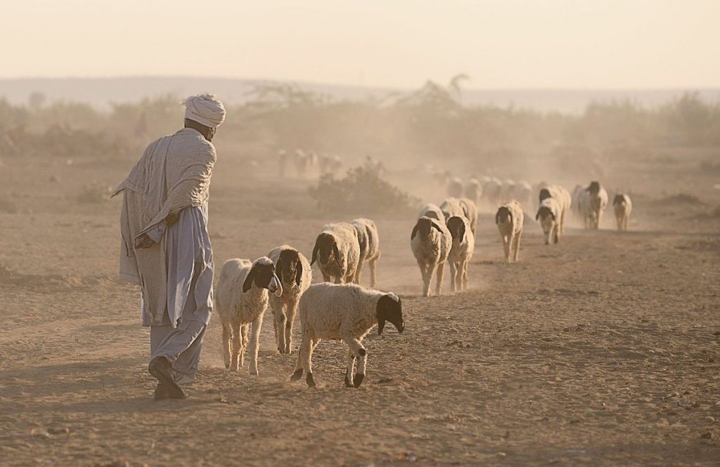 by Roy Haliva - Illustrated by Roey Haliva - Ourboox.com