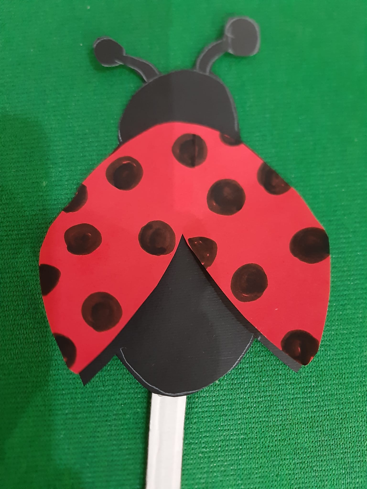 L’Ape capricciosa by elisa finazzi - Ourboox.com