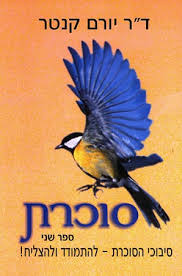 תופעת הסוכרת – Diabetes Mellitus by Noam Pelled - Illustrated by נועם פלד - Ourboox.com