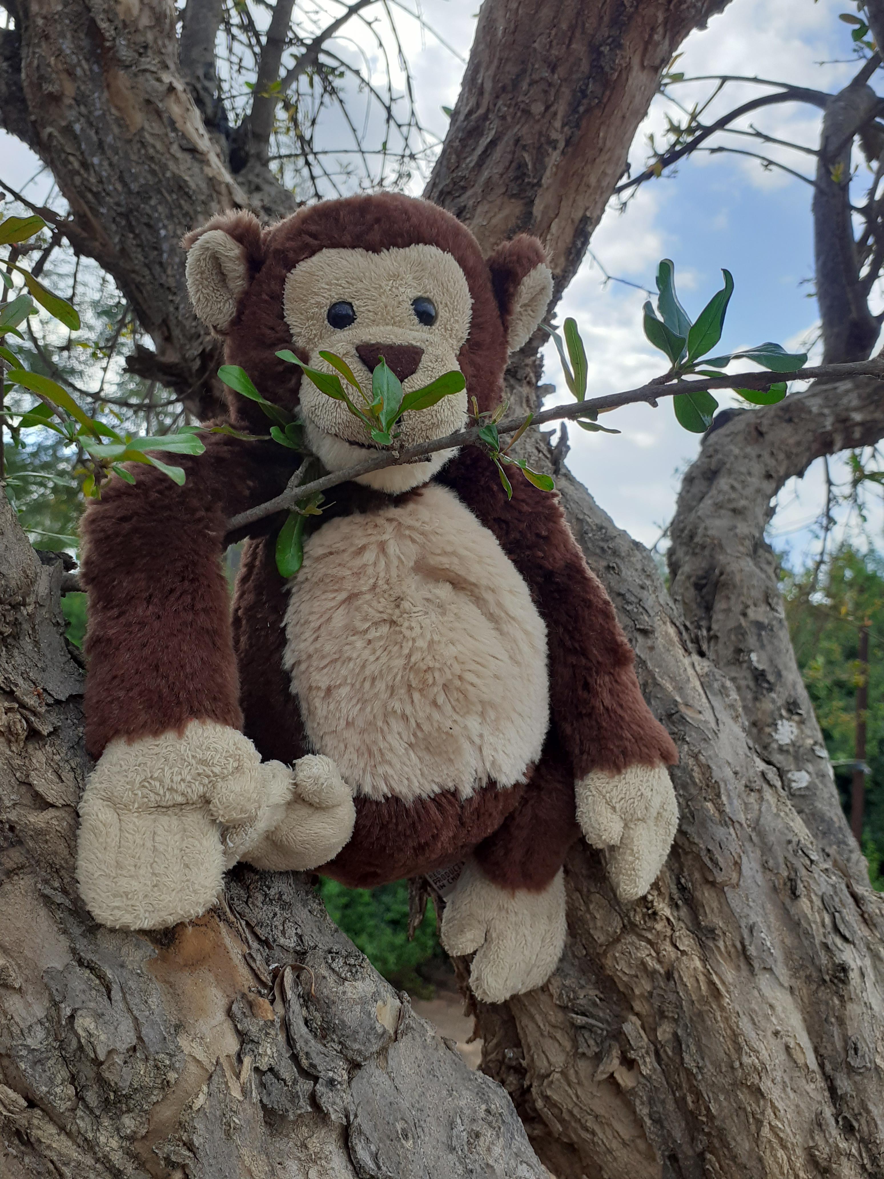 ג’ורג’ הסקרן מחפש את האביב by Anat raz - Ourboox.com