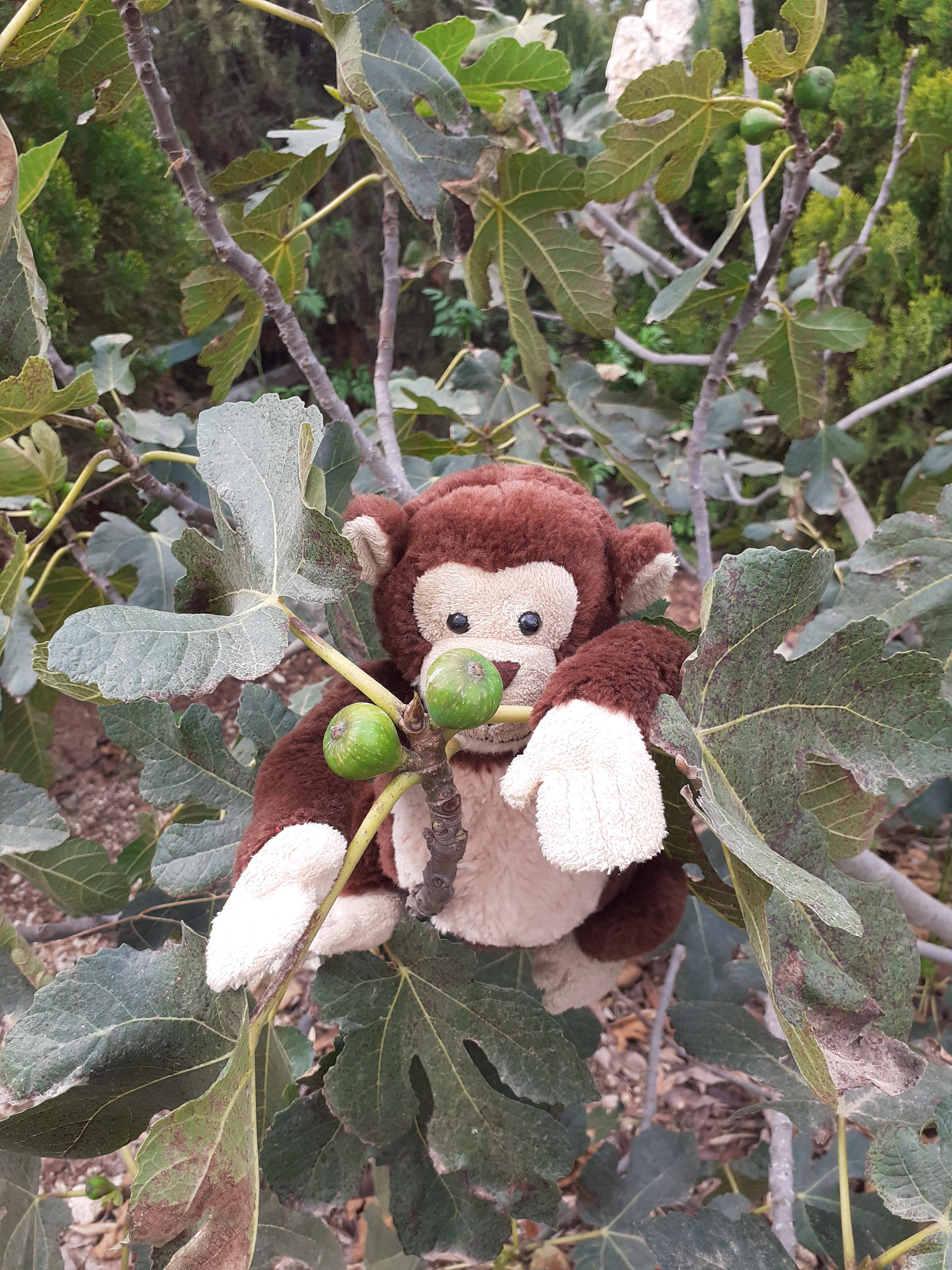 ג’ורג’ הסקרן מחפש את האביב by Anat raz - Ourboox.com