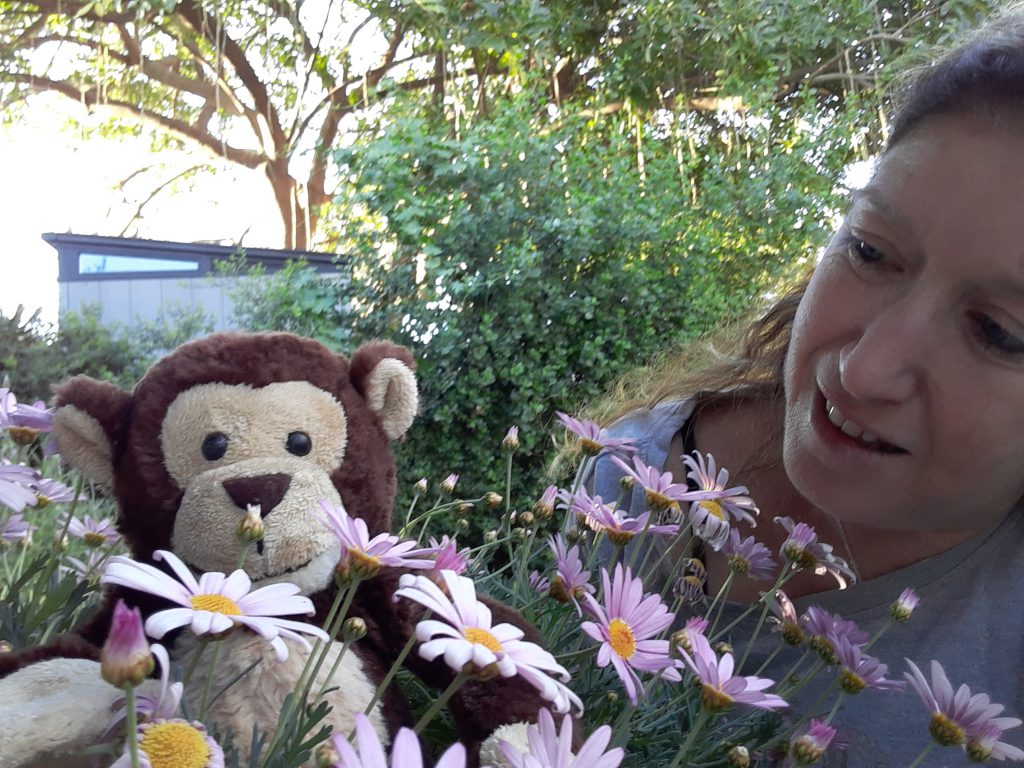 ג’ורג’ הסקרן מחפש את האביב by Anat raz - Ourboox.com