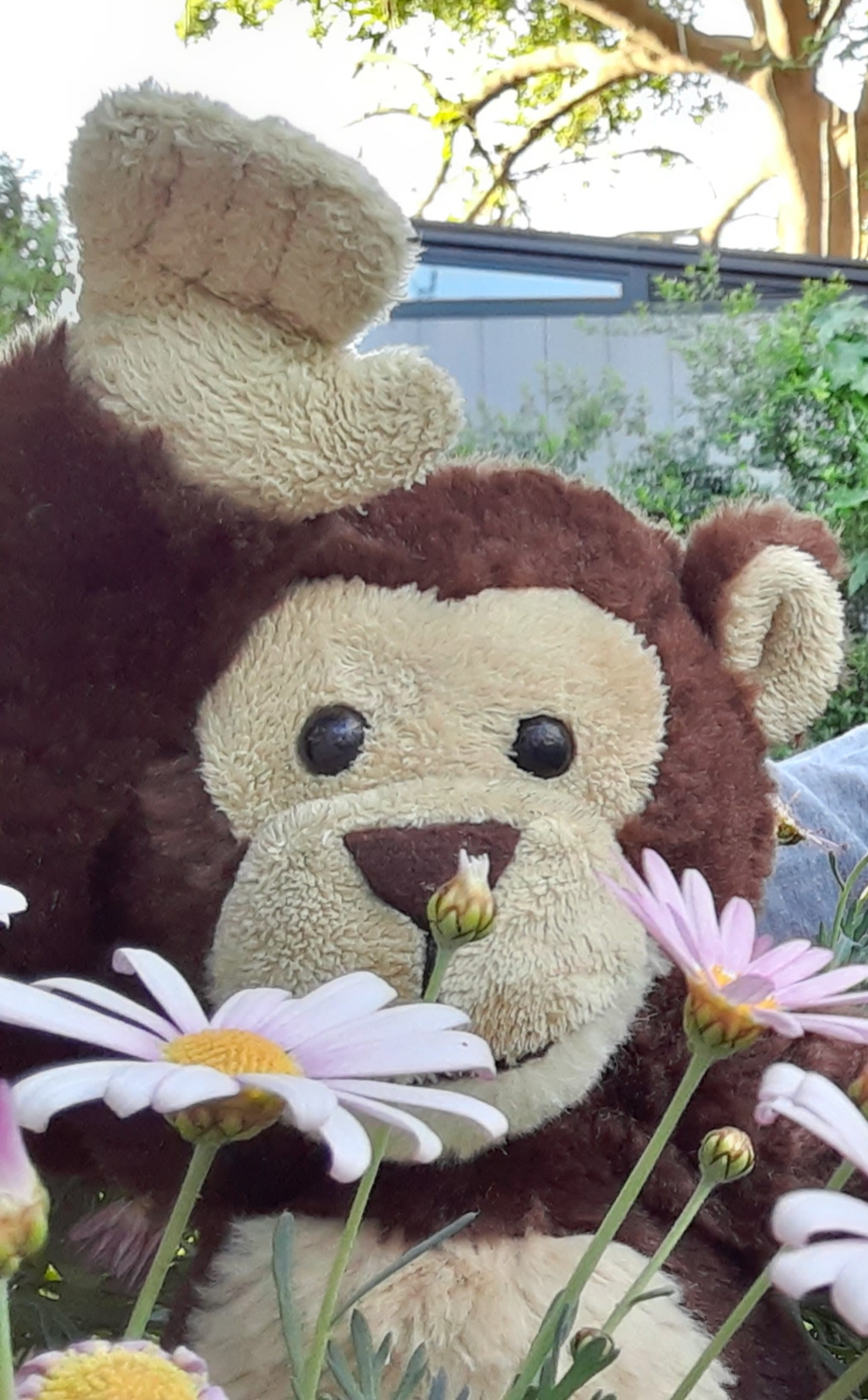 ג’ורג’ הסקרן מחפש את האביב by Anat raz - Ourboox.com