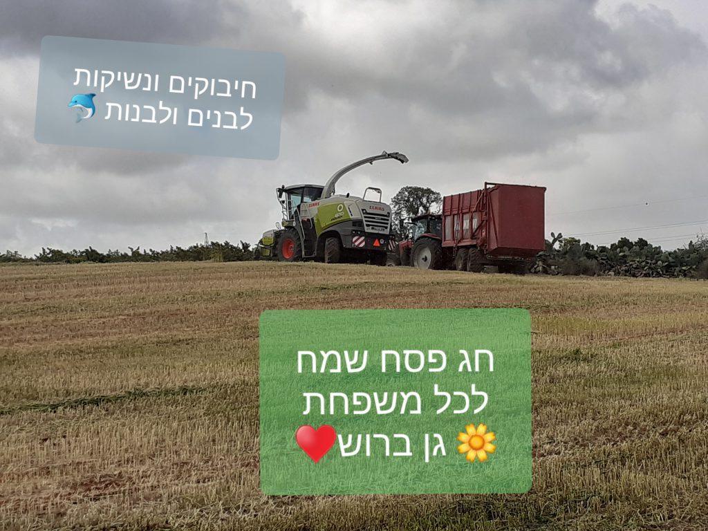 ג’ורג’ הסקרן מחפש את האביב by Anat raz - Ourboox.com