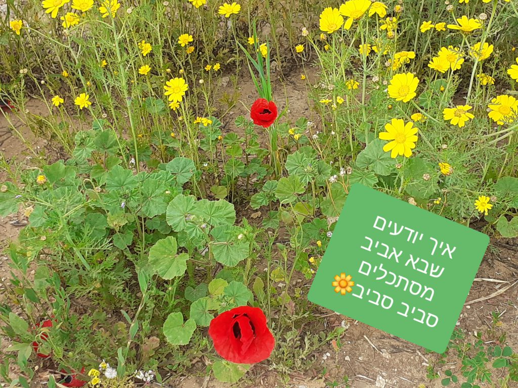 ג’ורג’ הסקרן מחפש את האביב by Anat raz - Ourboox.com