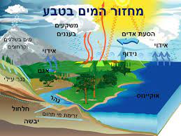 מחזור המים בטבע by safa algaar - Ourboox.com