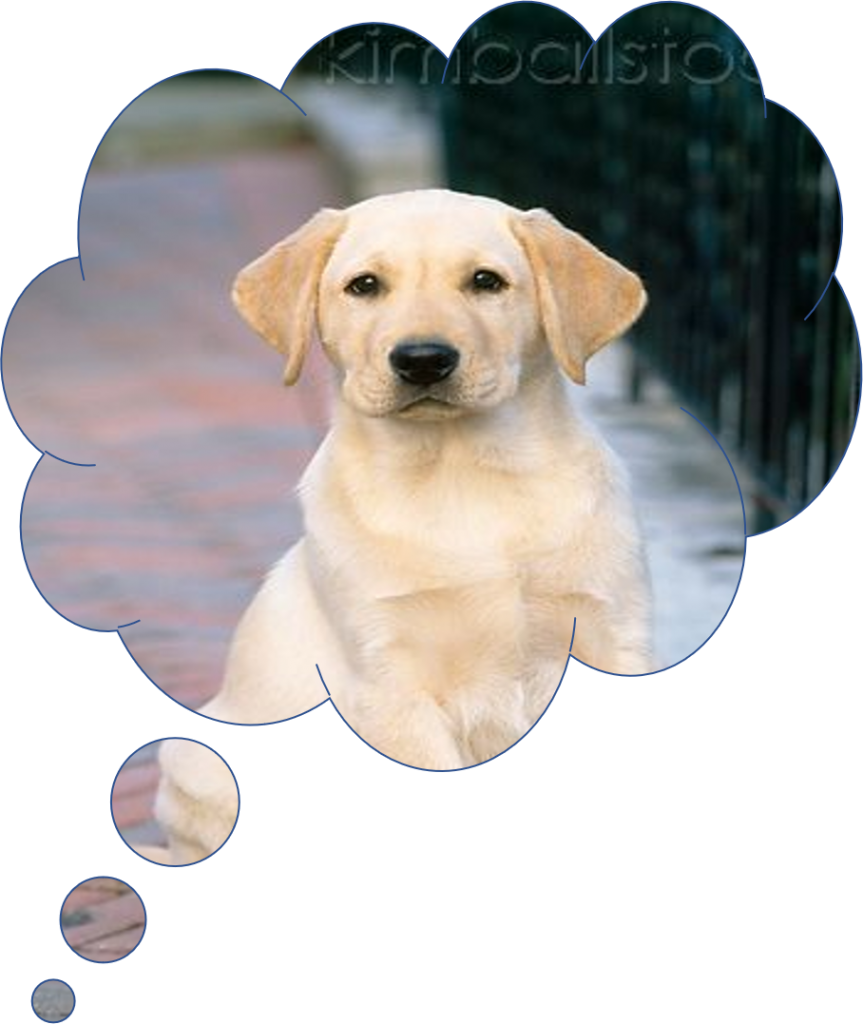 Maya by stav - Illustrated by Liem and Stav - Ourboox.com