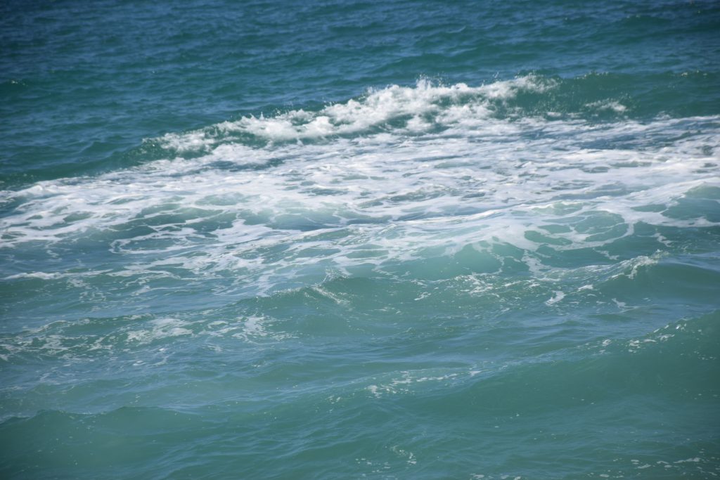 התמונות של איילה by ayala mlamdovsky - Illustrated by איילה - Ourboox.com