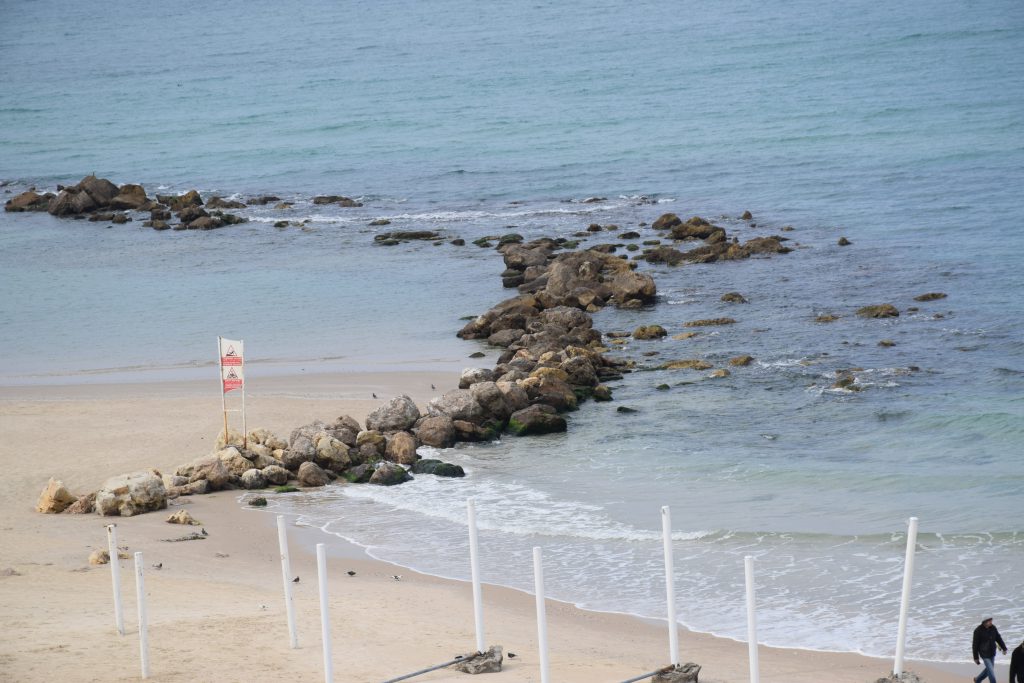 התמונות של איילה by ayala mlamdovsky - Illustrated by איילה - Ourboox.com