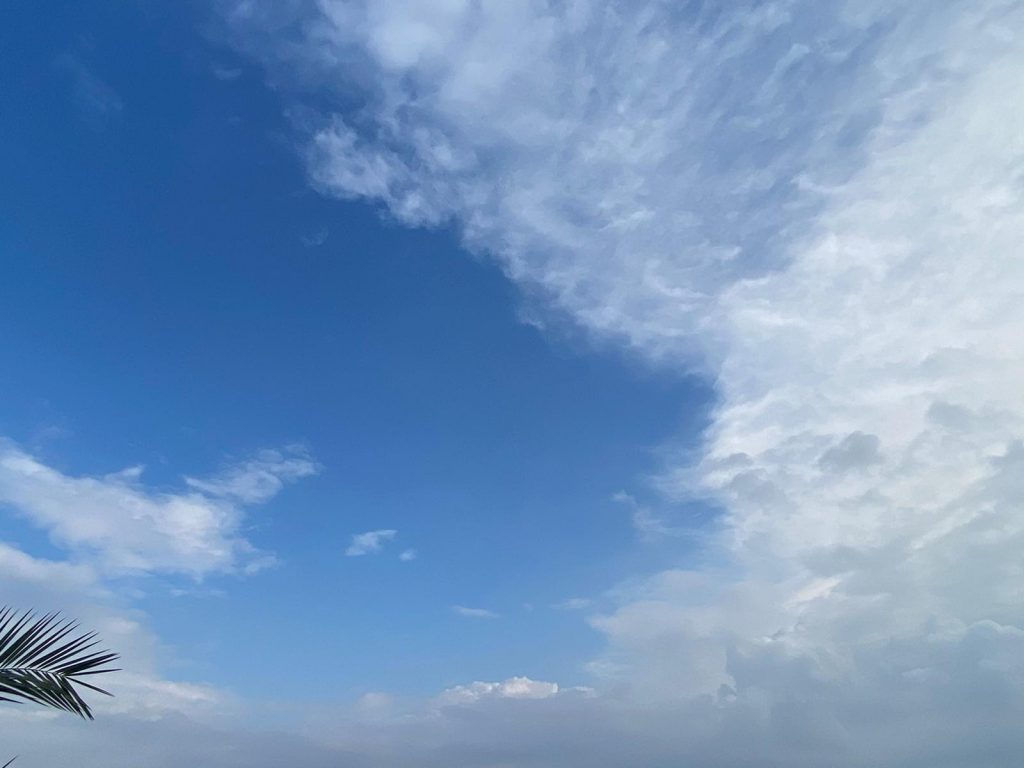 عنقود أطفال الطبيعة by  - Ourboox.com