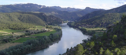 SomRiu by Alícia Lores, Marta Montagut, Pilar Sansó i Marisa Vidal - Ourboox.com