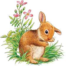 Как кучето си търсило приятел by Emilia Kaneva - Ourboox.com