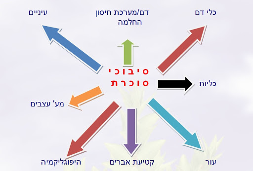 תופעת הסוכרת – Diabetes Mellitus by Noam Pelled - Illustrated by נועם פלד - Ourboox.com