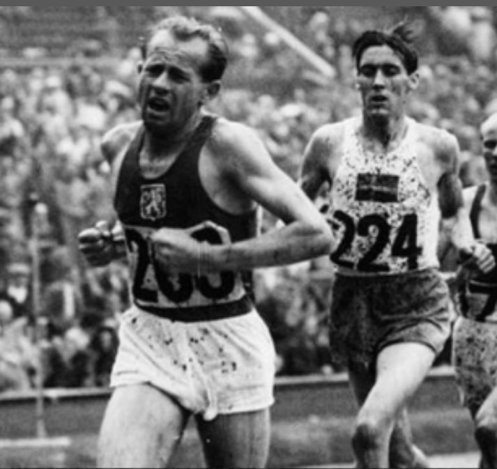 DIVERSI MA AMICI by gaia - Illustrated by  Gaia Elia, Irene Ingrami, Elena Ragazzi, Marika Tonej - Ourboox.com