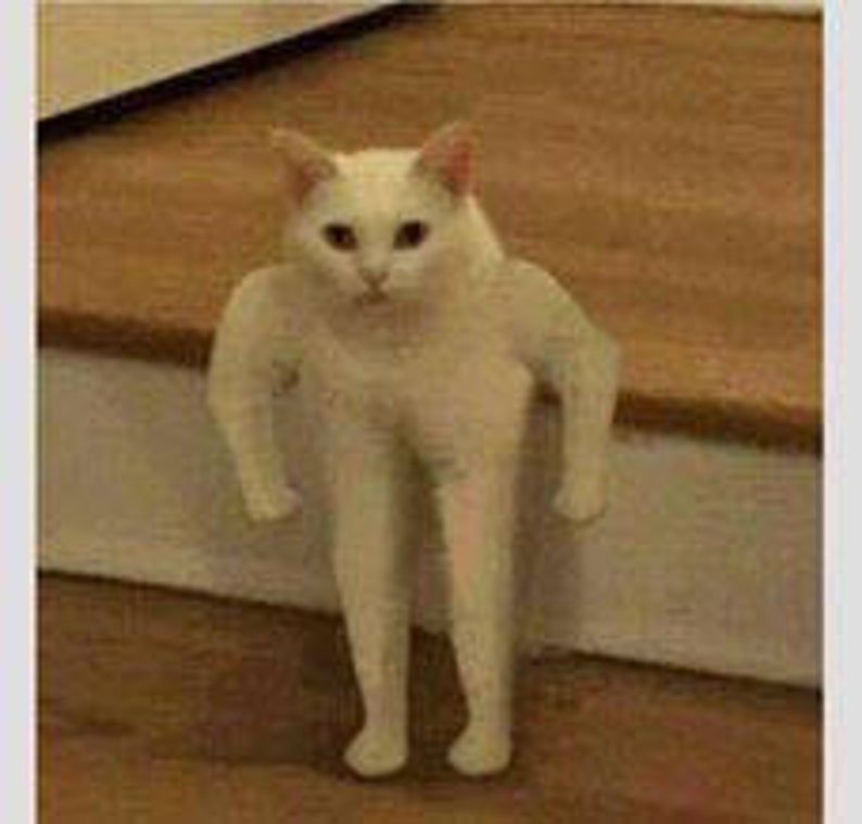 Mačky by Fifko - Ourboox.com