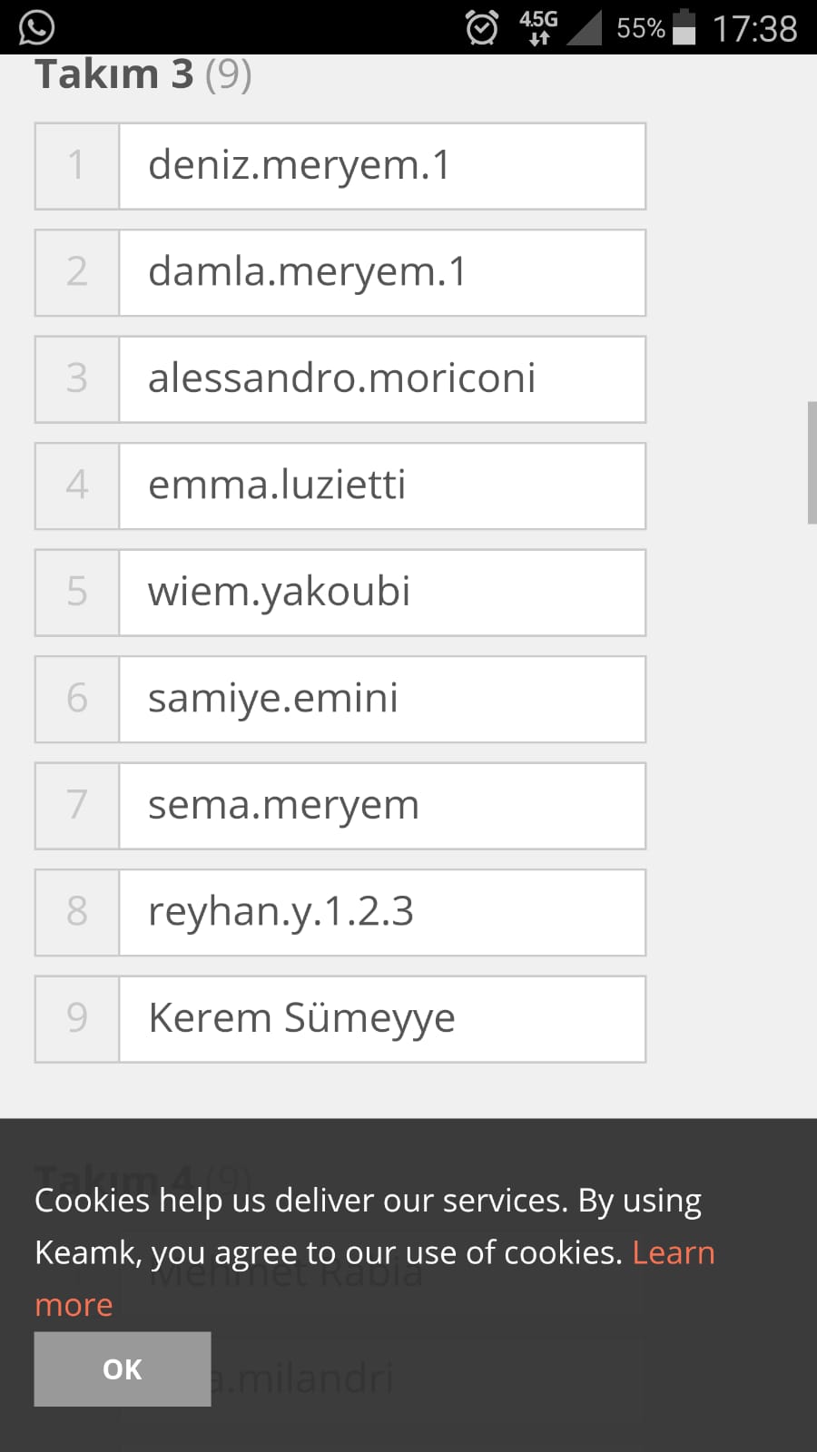 Mixed Team&Karma Takım by Meryem BÜYÜKBAŞ - Ourboox.com
