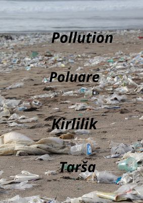 Just STEM! E-Dictionary by Alina Buduleanu - Illustrated by Students Just STEM! - Ourboox.com