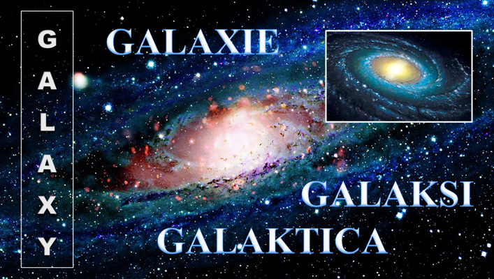 Just STEM! E-Dictionary by Alina Buduleanu - Illustrated by Students Just STEM! - Ourboox.com