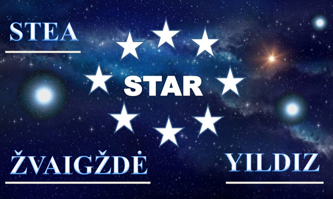 Just STEM! E-Dictionary by Alina Buduleanu - Illustrated by Students Just STEM! - Ourboox.com