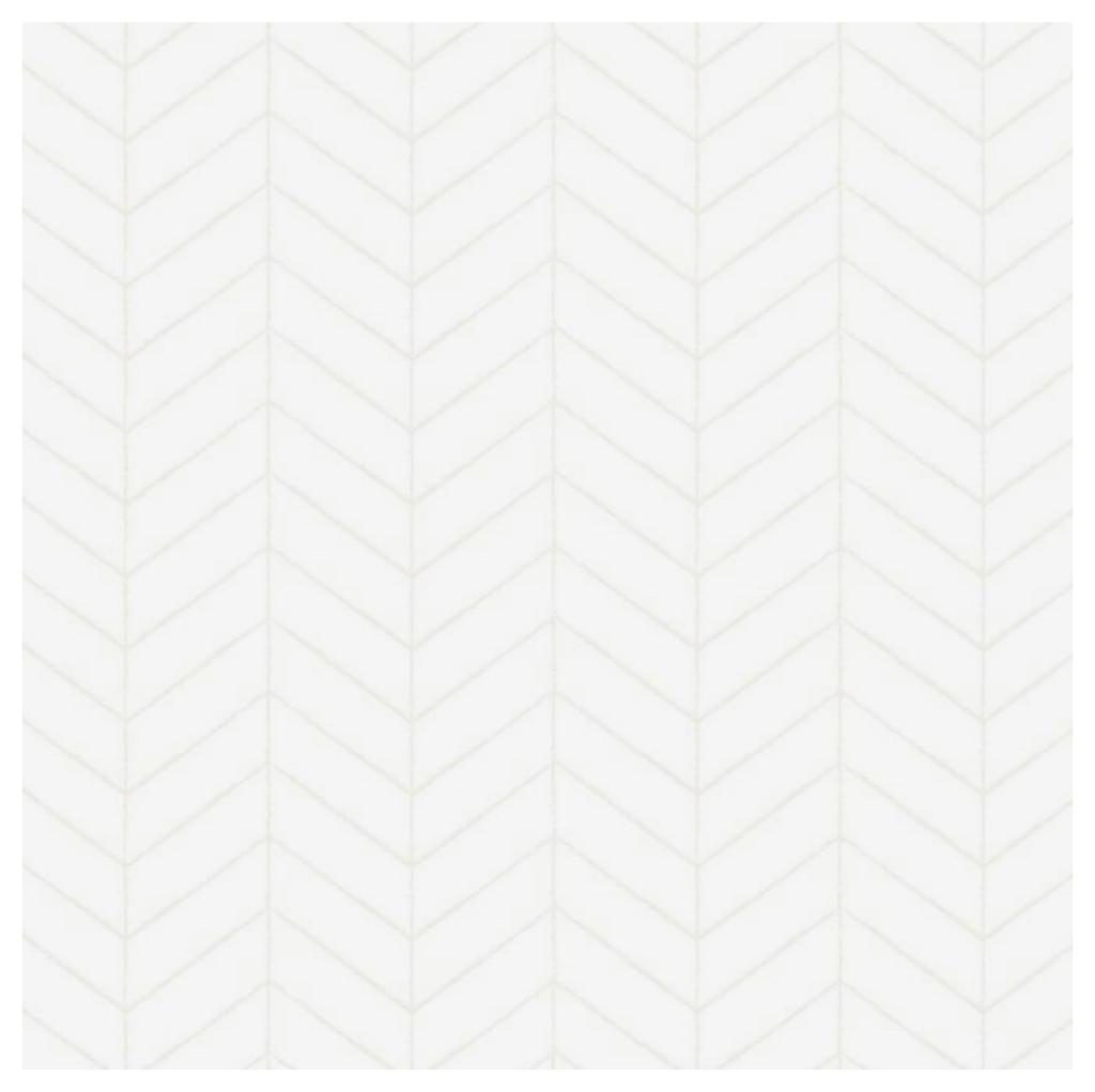 עבודת שורשים שחר by shahar ben itzhak - Ourboox.com