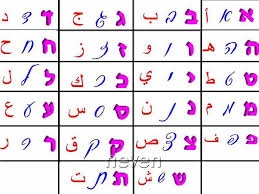اللغة العربية المحكية by amal - Ourboox.com