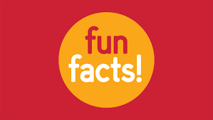 Fun&Random Facts! by Shalev Haklai - Ourboox.com