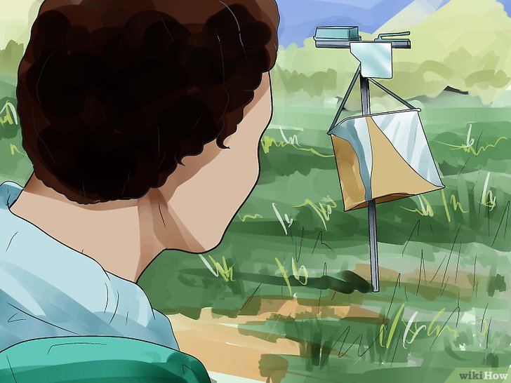 ORIENTEERING by maria puppo - Ourboox.com