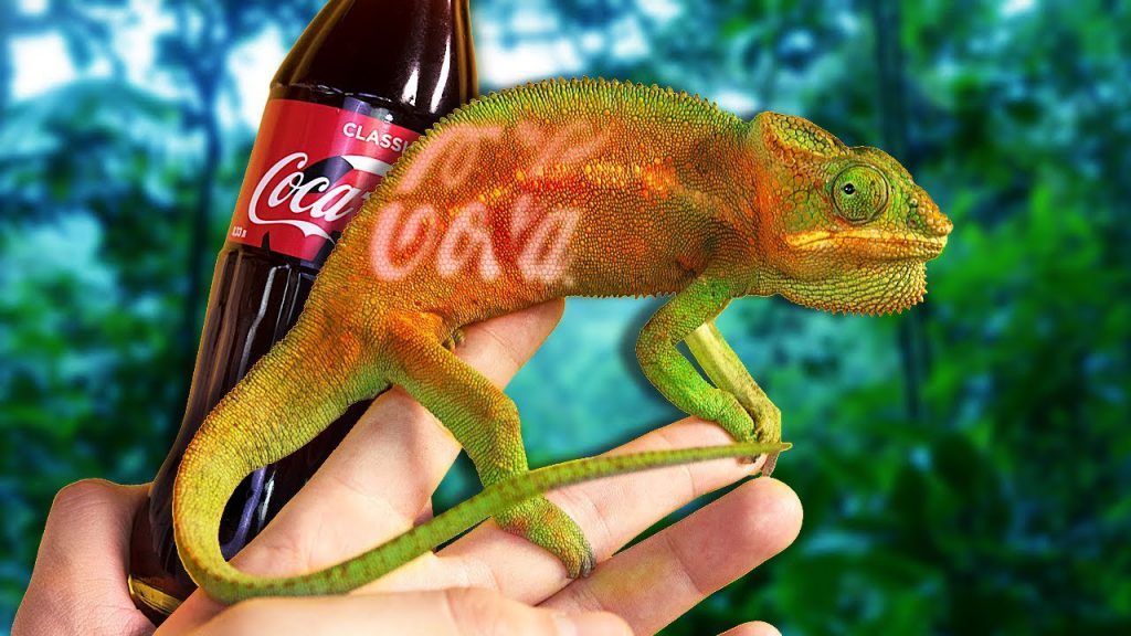 ОТ ЧЕГО ЗАВИСИТ ОКРАСКА ХАМЕЛЕОНА?? by Sofya Igoshina - Ourboox.com